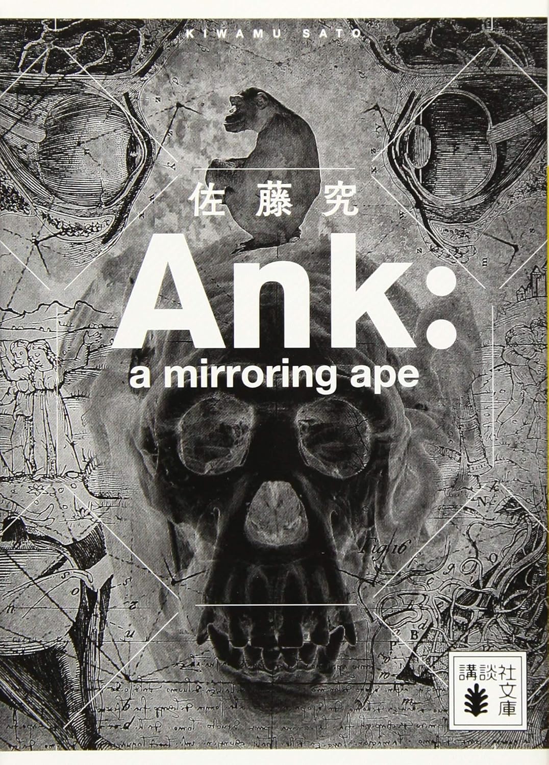 書影