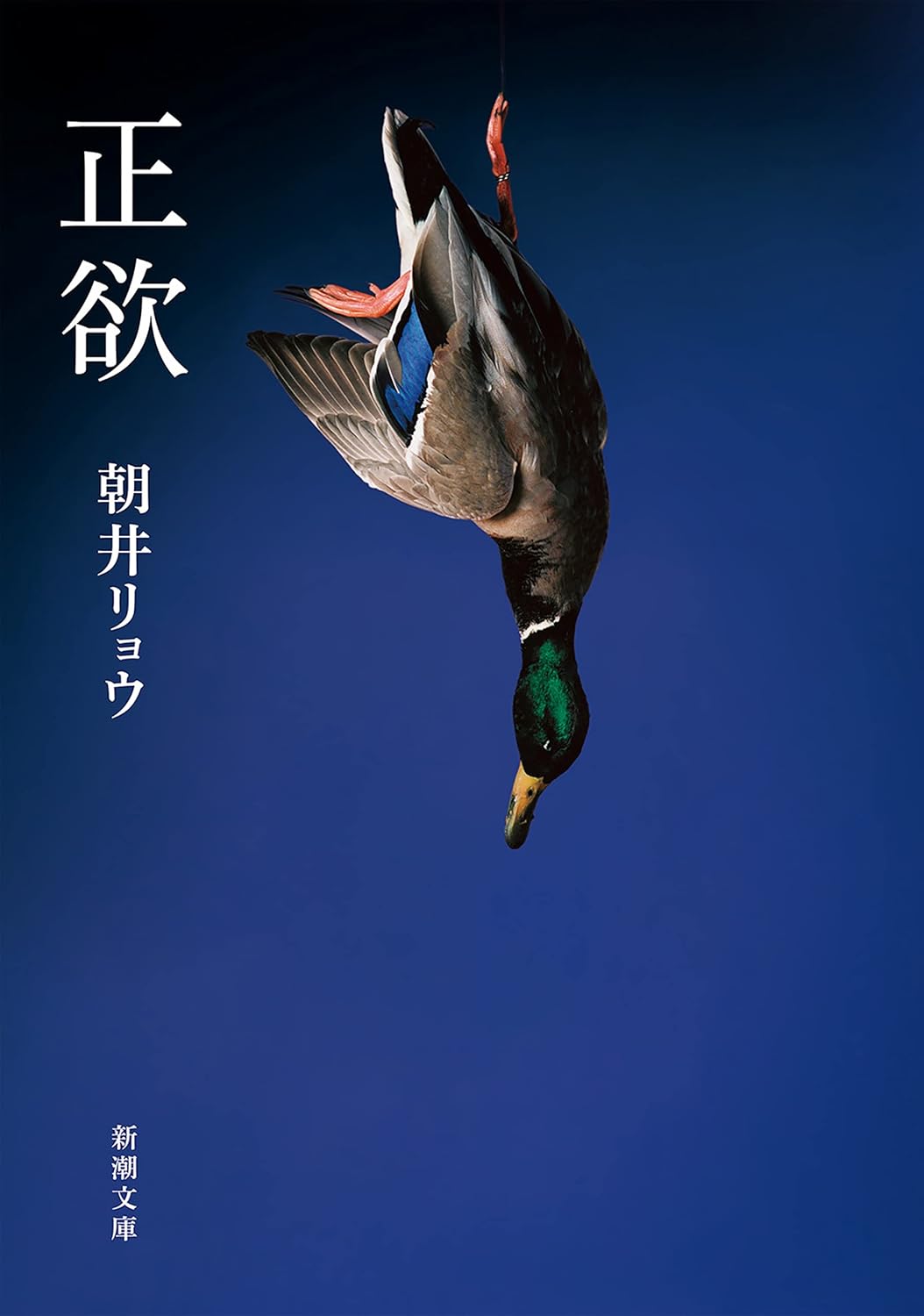 書影