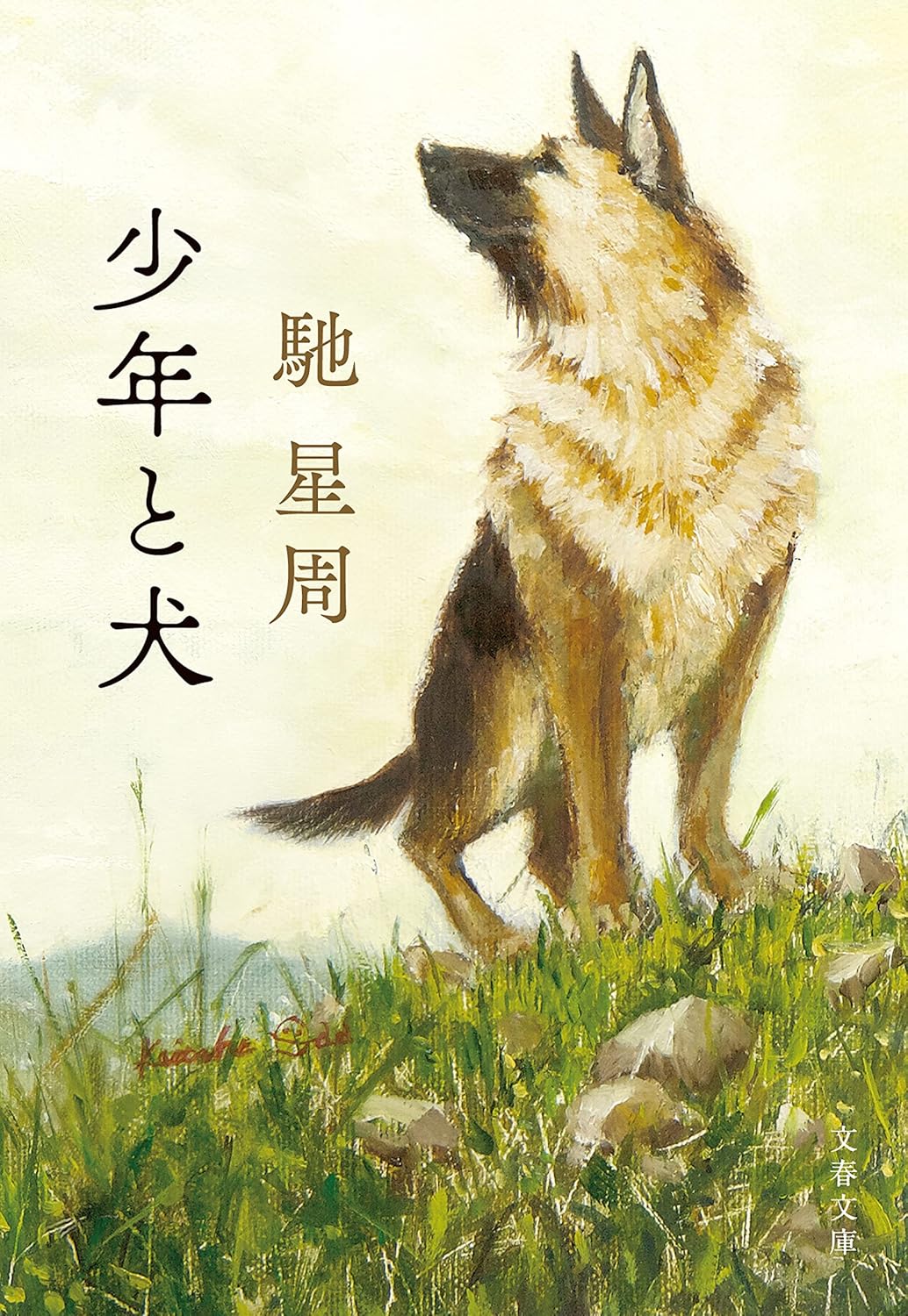 書影