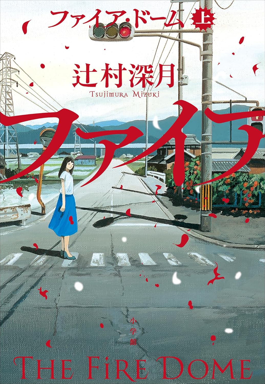 書影